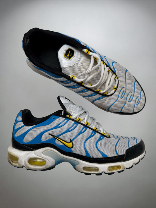 Nike TN Shoe (44)