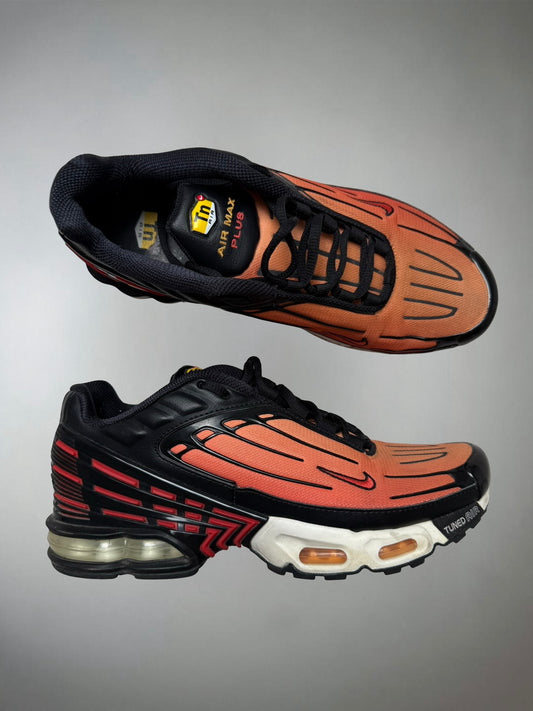 Nike TN Shoe (43)