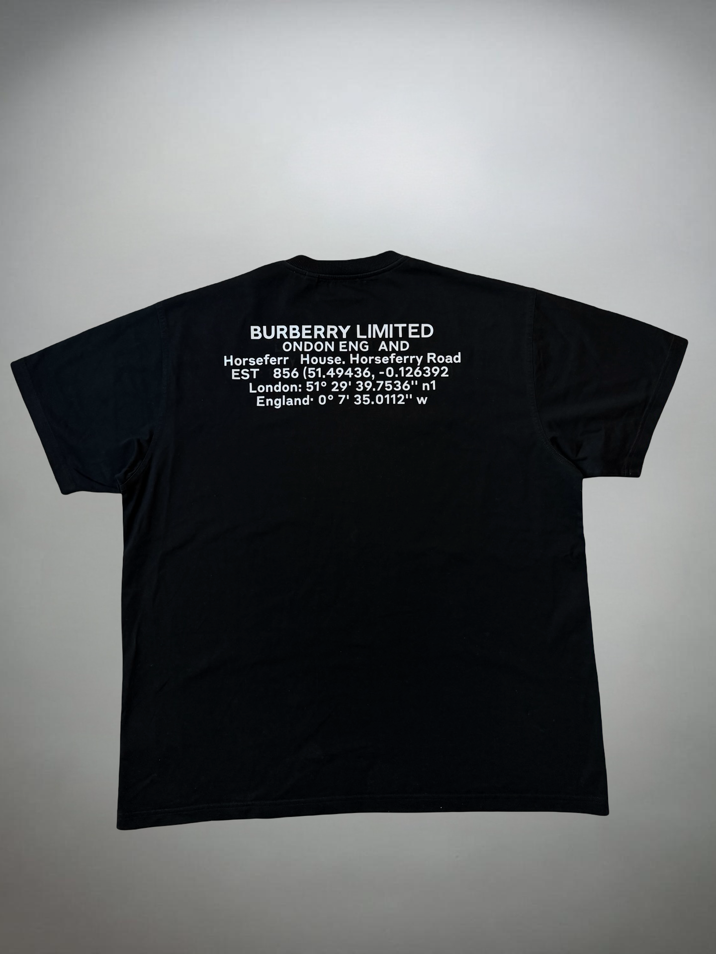 Vintage Burberry T Shirt (L)