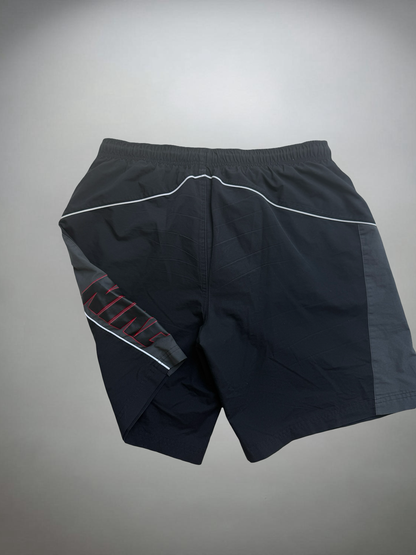 Vintage Nike Shorts (L)