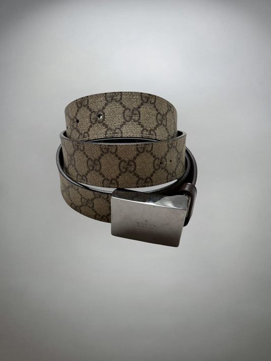 Gucci Belt (125cm)