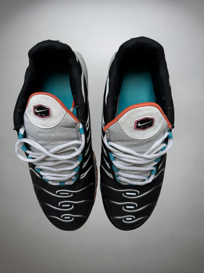 Vintage Nike TN Shoe (44)