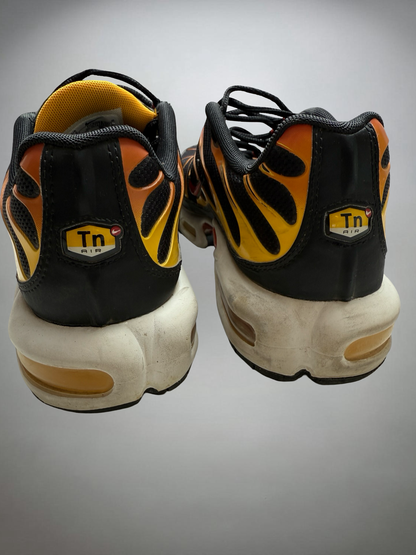 Vintage Nike TN Shoe (43)